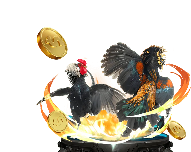 Chọn sảnh đá gà bet69 casino